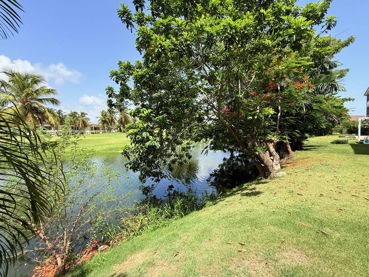 Квартира в Баваро, Доминиканская Республика, 127 м² - фото 8