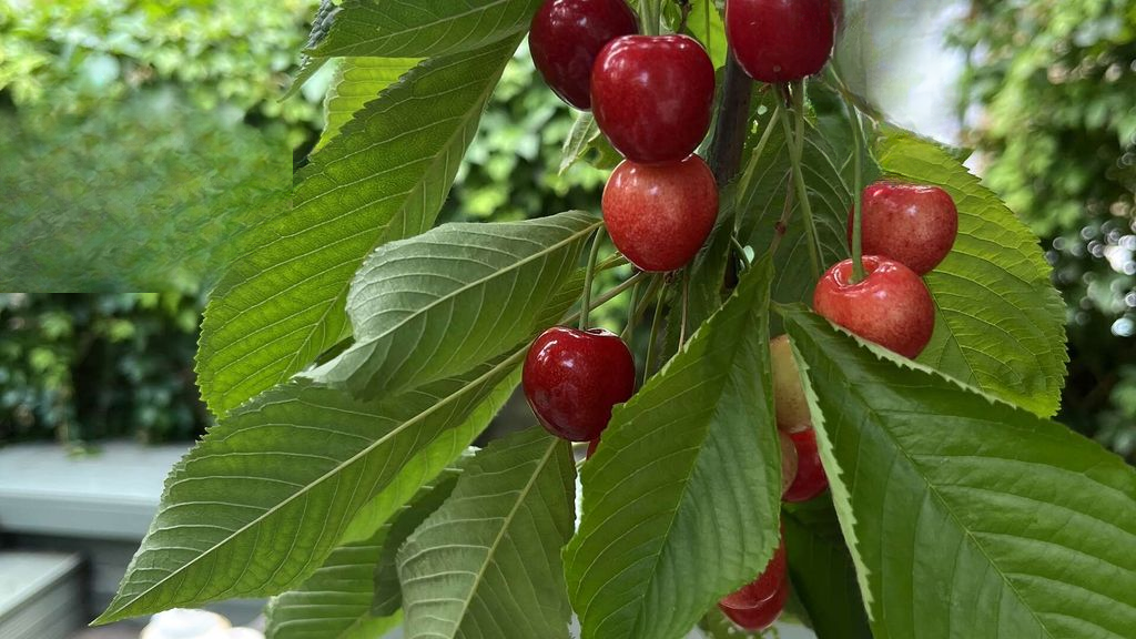 Квартира в Лондоне, Великобритания, 83 м² - фото 5