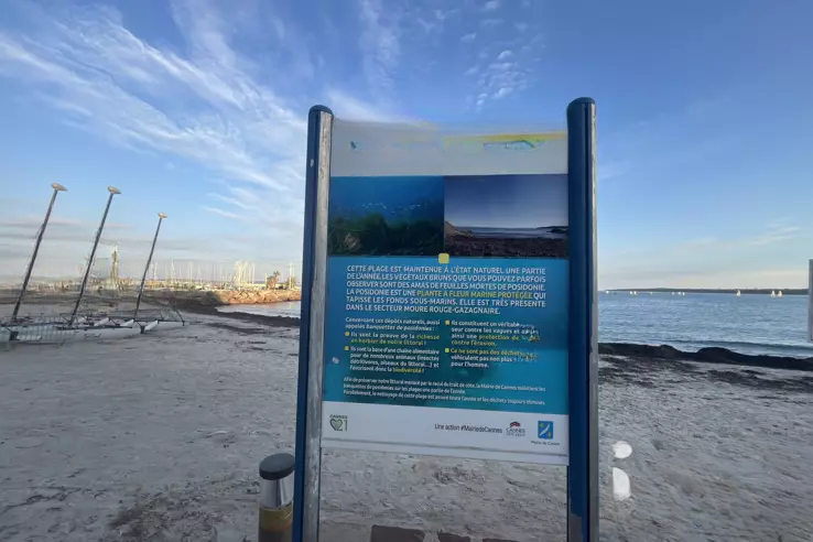 Квартира в Каннах, Франция, 41 м² - фото 7