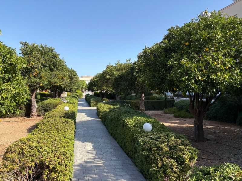 Коттедж в Пафосе, Кипр, 151 м² - фото 3