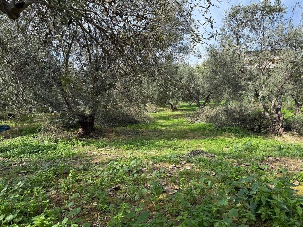 Земля в Ираклионе, Греция, 1 060 м² - фото 1