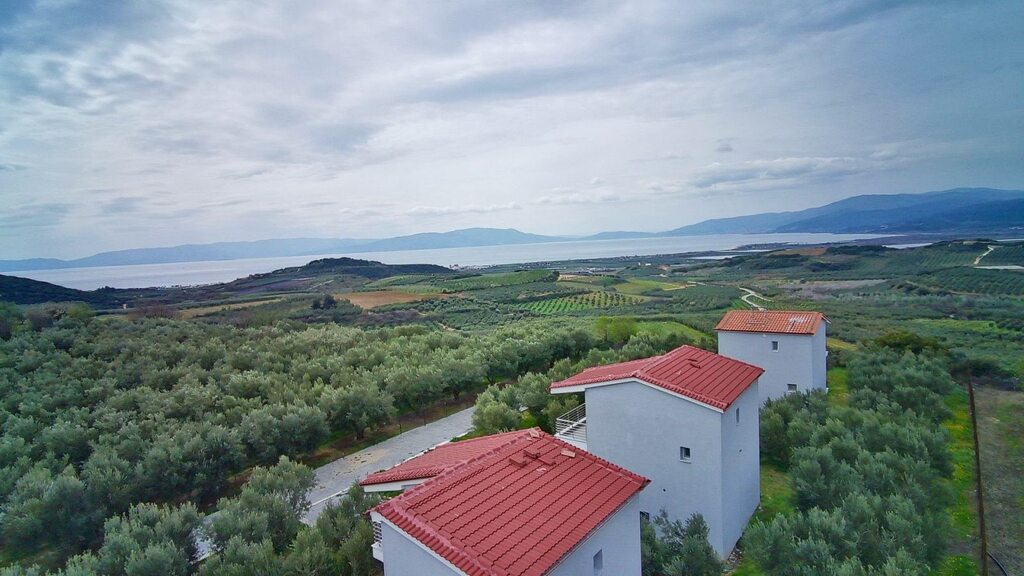 Коммерческая недвижимость в Драме, Греция, 195 м² - фото 1