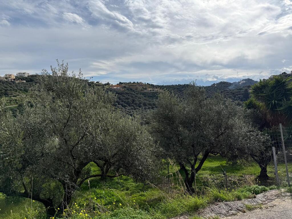 Земля в Ираклионе, Греция, 1 060 м² - фото 2