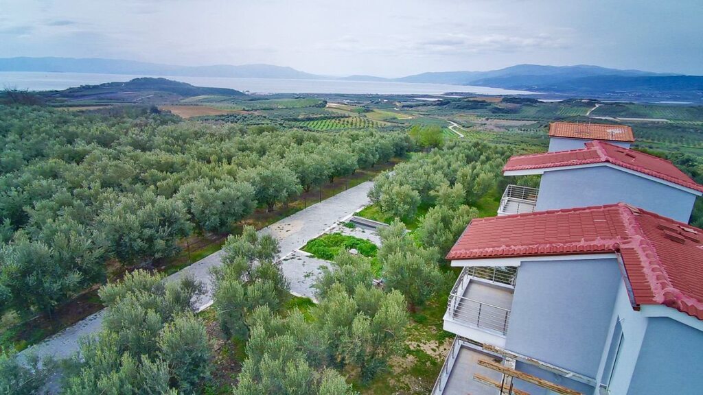 Коммерческая недвижимость в Драме, Греция, 195 м² - фото 2