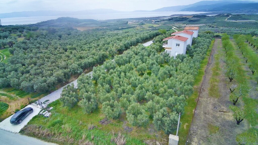 Коммерческая недвижимость в Драме, Греция, 195 м² - фото 4