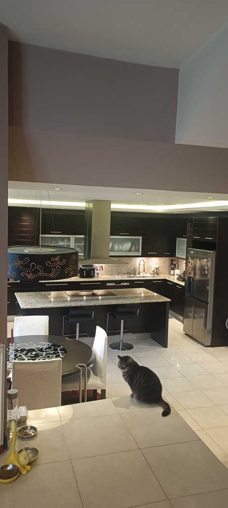 Дом в Афинах, Греция, 235 м² - фото 4