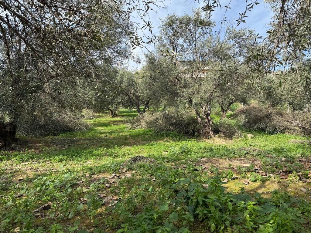 Земля в Ираклионе, Греция, 1 060 м² - фото 4