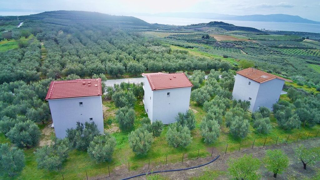 Коммерческая недвижимость в Драме, Греция, 195 м² - фото 5