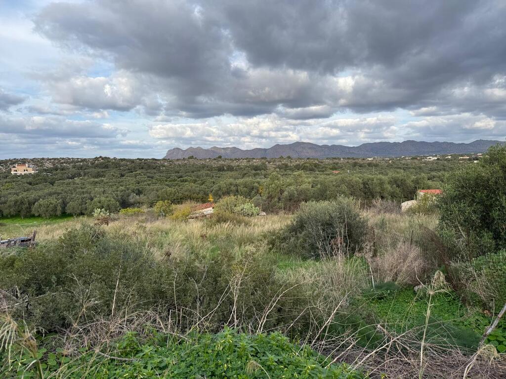 Земля в Ираклионе, Греция, 800 м² - фото 5