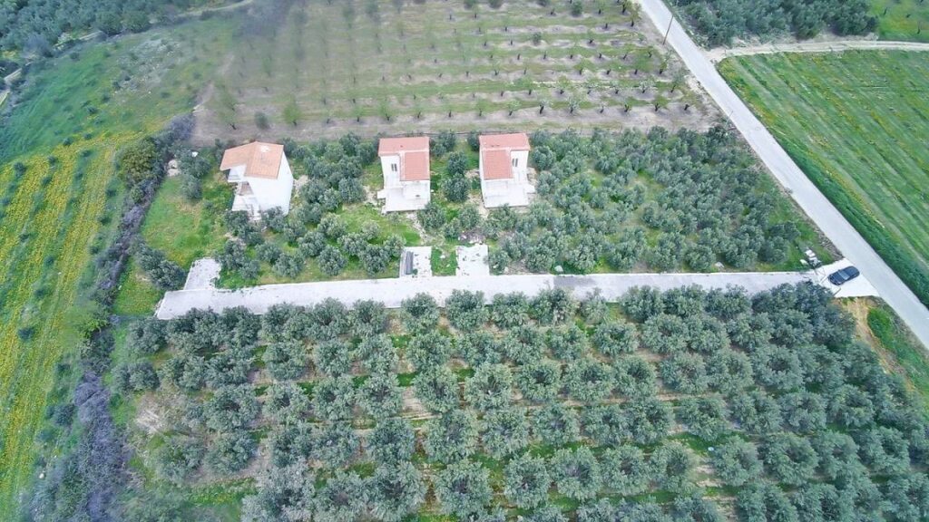 Коммерческая недвижимость в Драме, Греция, 195 м² - фото 6