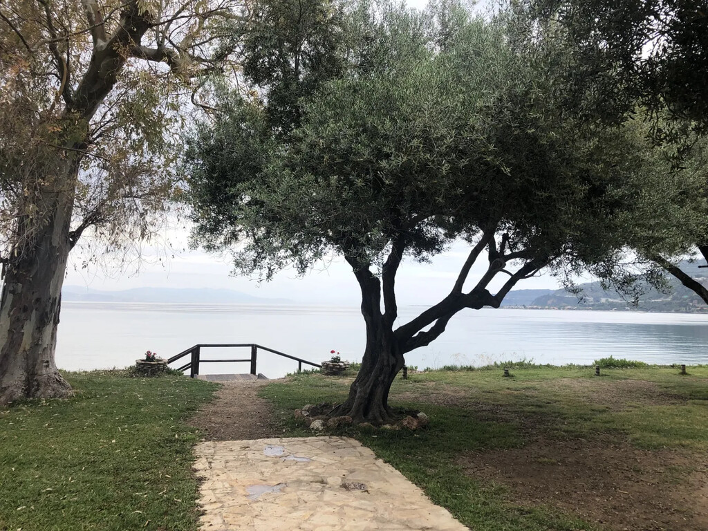 Мезонет на Пелопоннесе, Греция, 500 м² - фото 6