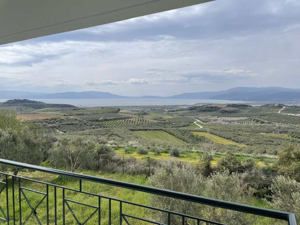 Коммерческая недвижимость в Драме, Греция, 195 м² - фото 8