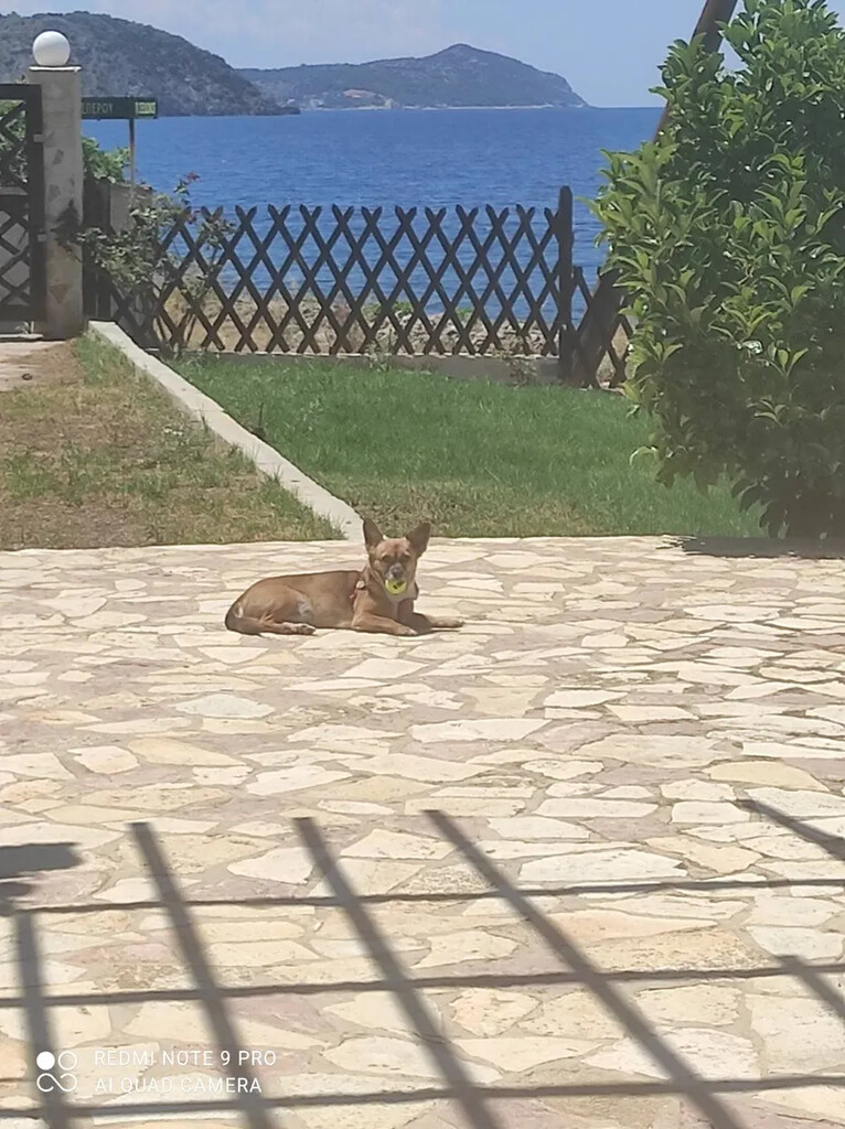 Дом на Пелопоннесе, Греция, 230 м² - фото 8