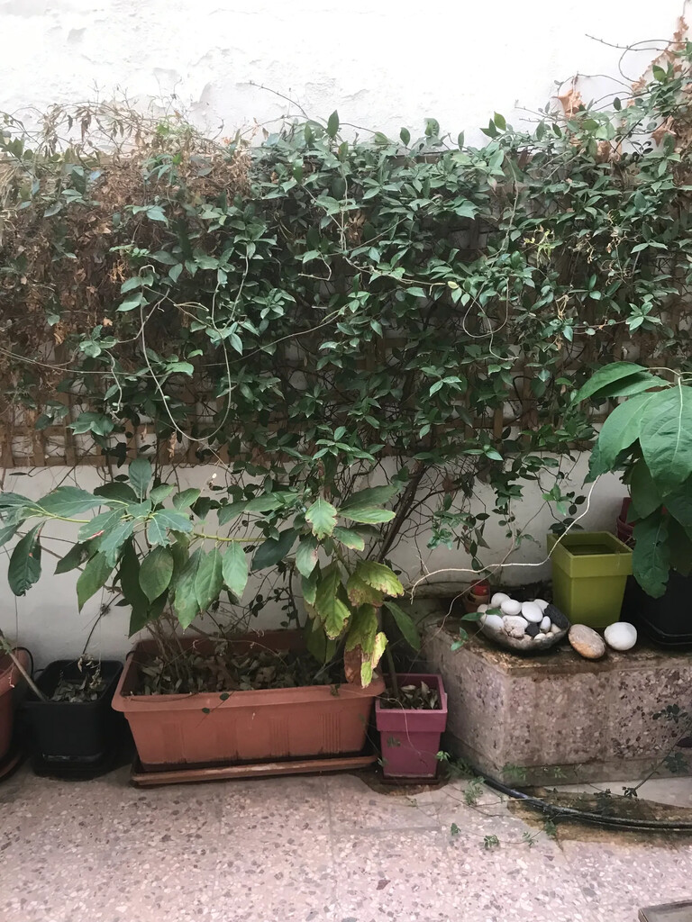 Квартира в Афинах, Греция, 80 м² - фото 9