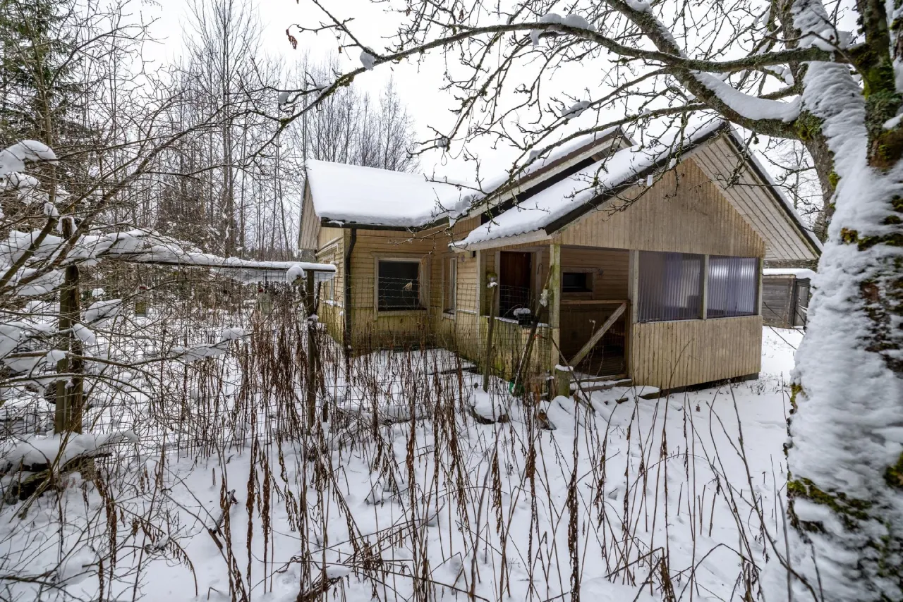 Дом в Юва, Финляндия, 59 м² - фото 14