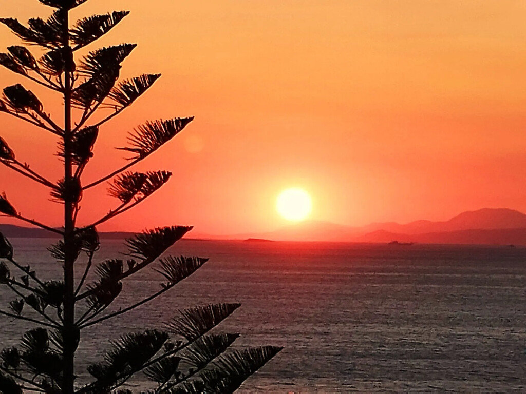 Квартира в Аттике, Греция, 51 м² - фото 18