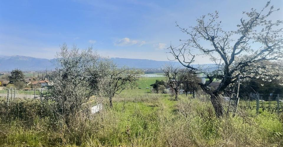 Квартира в Женеве, Швейцария, 16 м² - фото 2