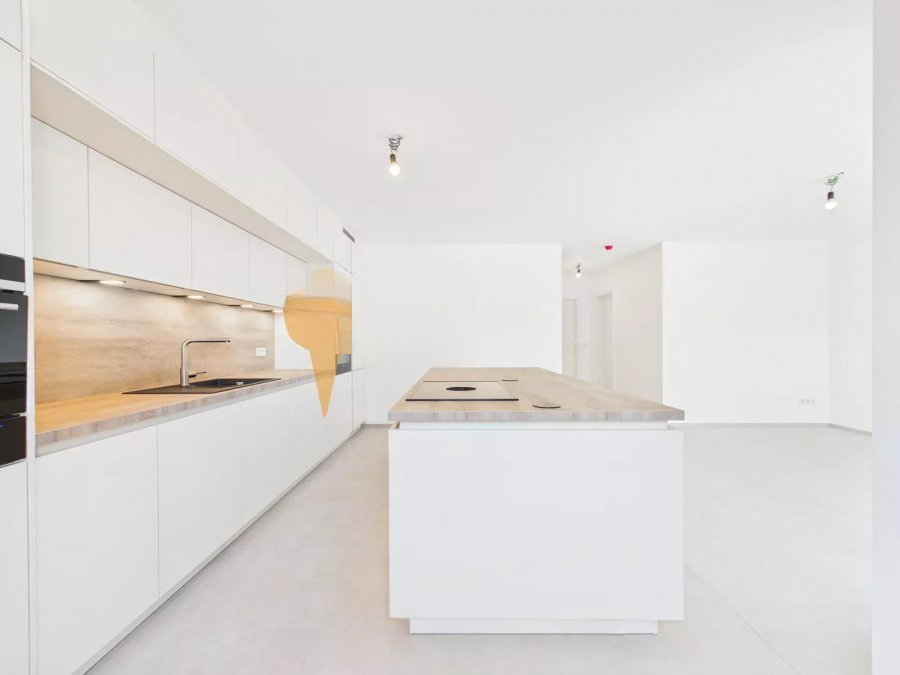 Квартира в Дикирхе, Люксембург, 238 м² - фото 2