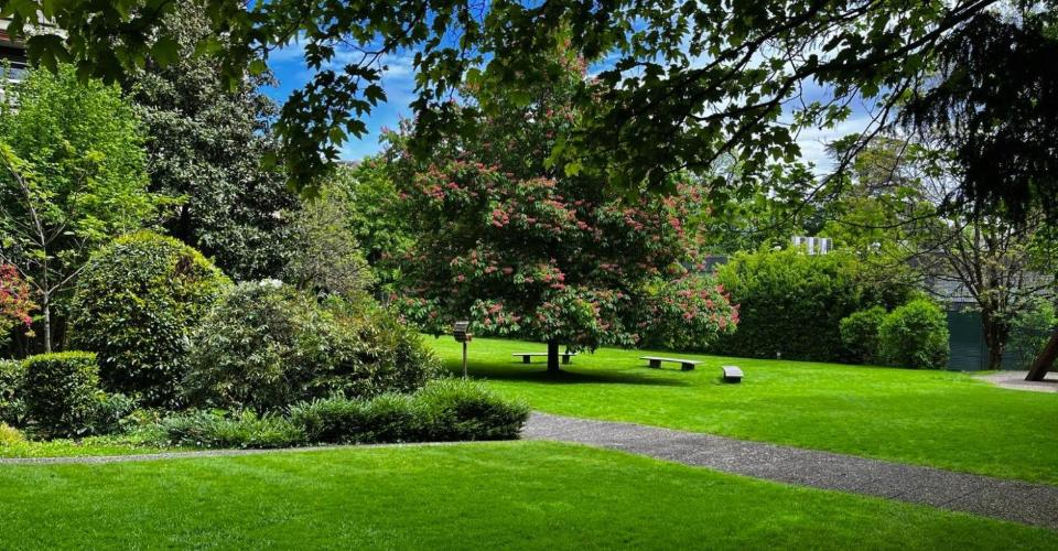 Квартира в Женеве, Швейцария, 225 м² - фото 3