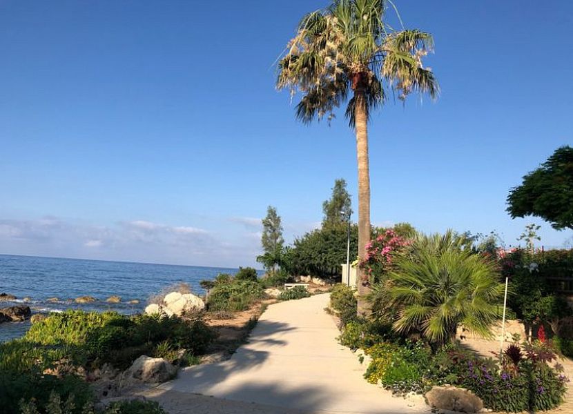 Вилла в Пафосе, Кипр, 190 м² - фото 16