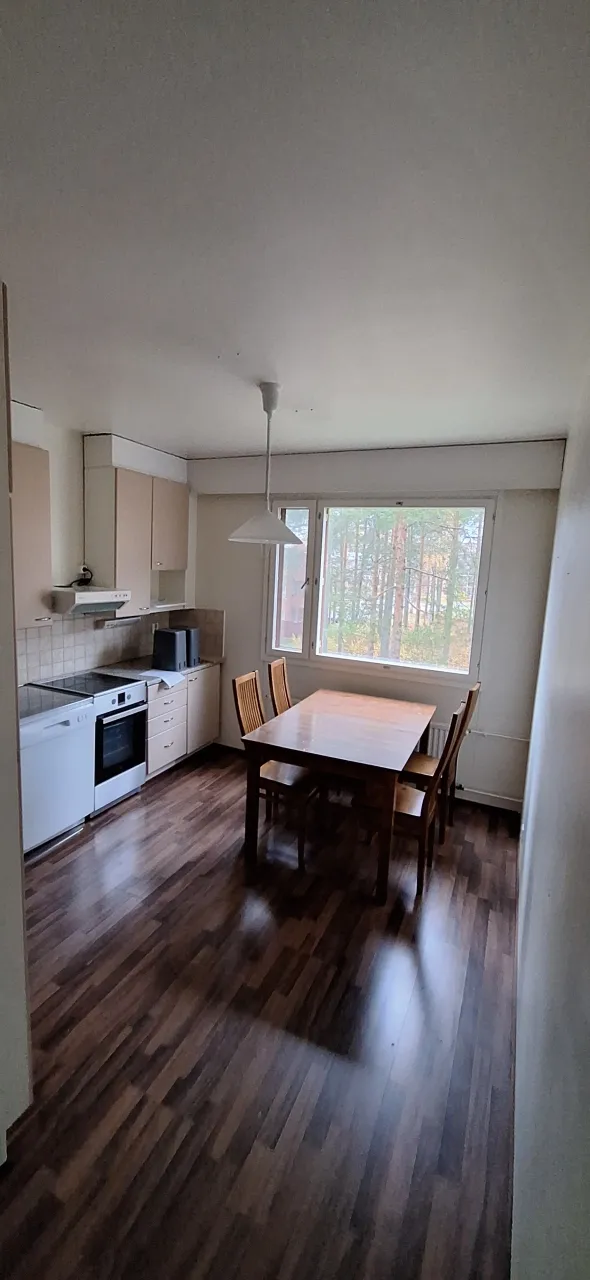 Квартира в Лиекса, Финляндия, 75 м² - фото 1