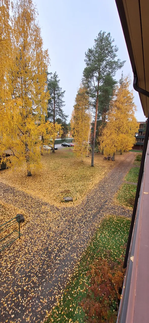 Квартира в Лиекса, Финляндия, 75 м² - фото 7