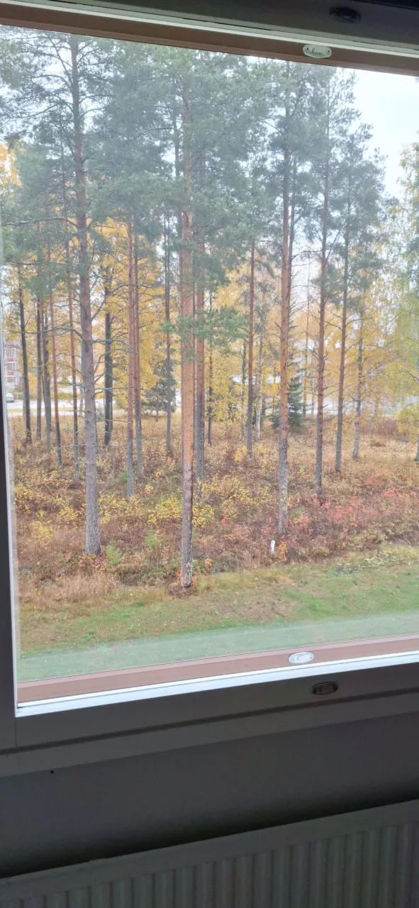 Квартира в Лиекса, Финляндия, 75 м² - фото 11