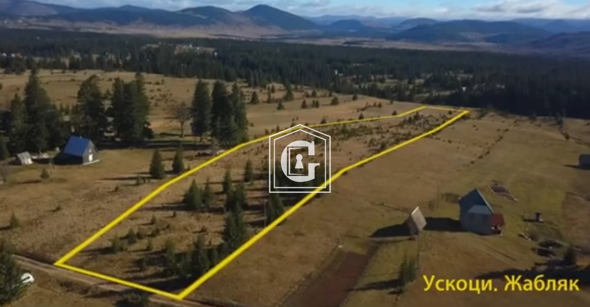 Земля в Жабляке, Черногория, 27 000 м² - фото 2