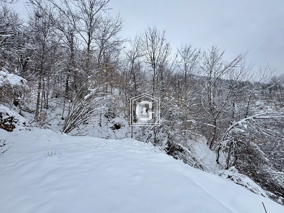 Земля в Колашине, Черногория, 16 613 м² - фото 3