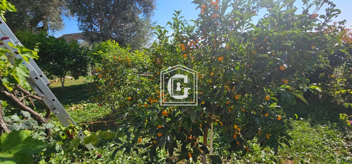 Вилла в Баре, Черногория, 170 м² - фото 4