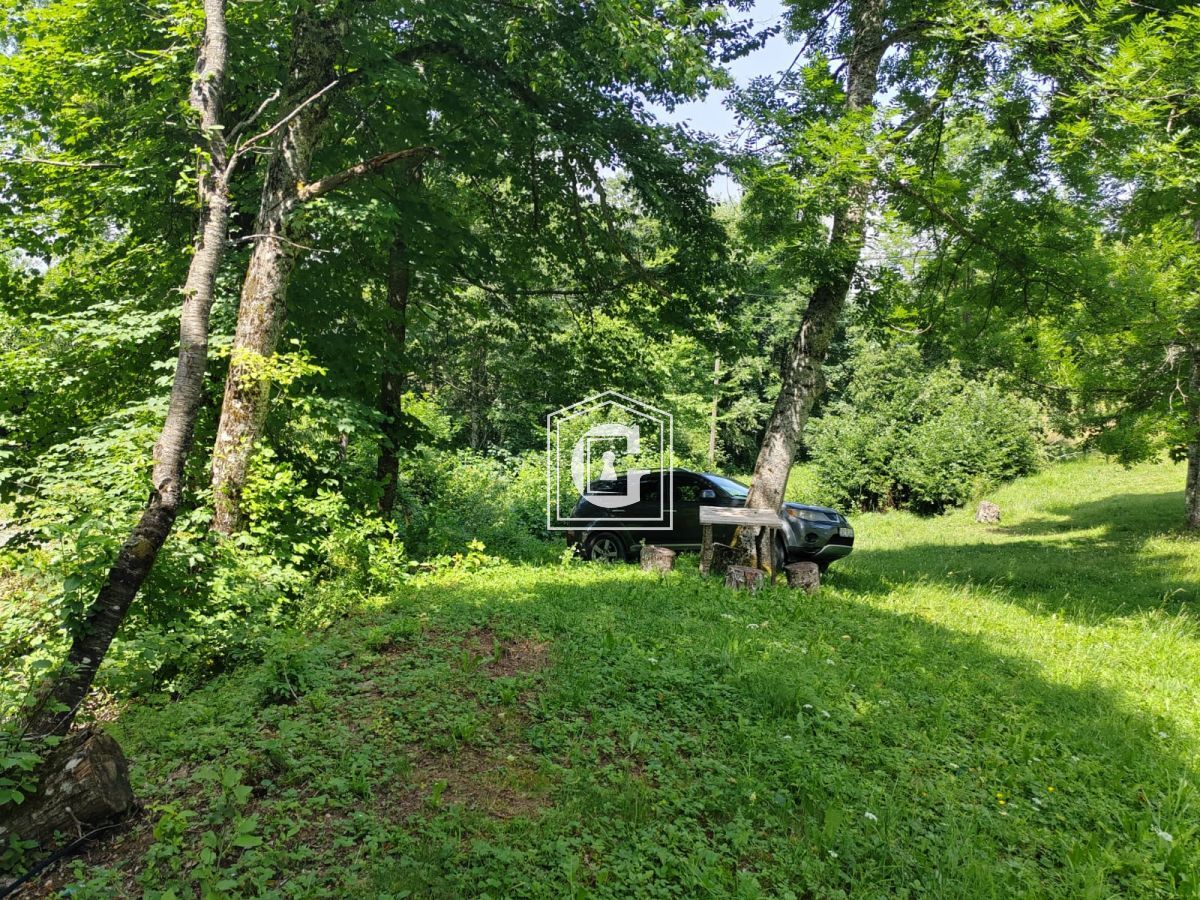 Земля в Колашине, Черногория, 1 313 м² - фото 5