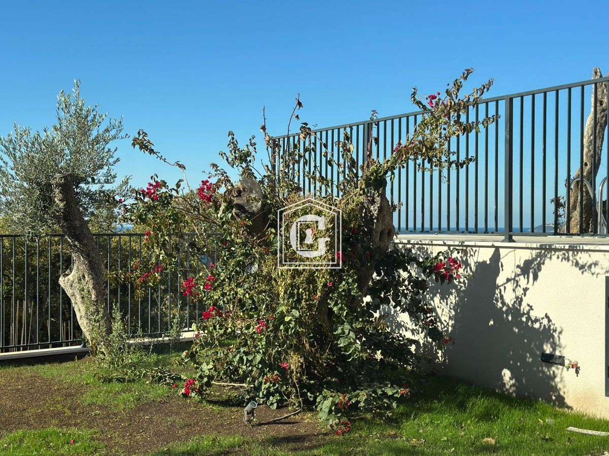 Поместье в Режевичах, Черногория, 140 м² - фото 6