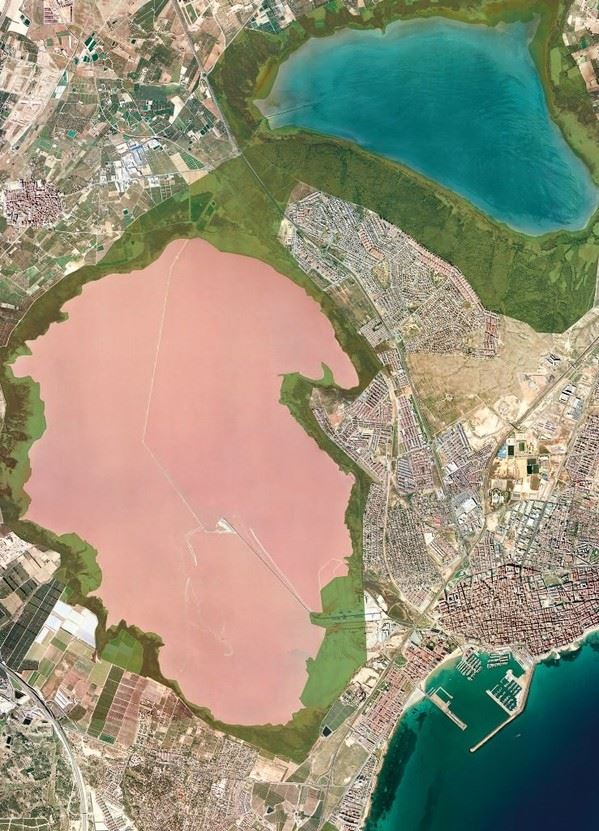 Коммерческая недвижимость в Торревьехе, Испания, 170 м² - фото 14