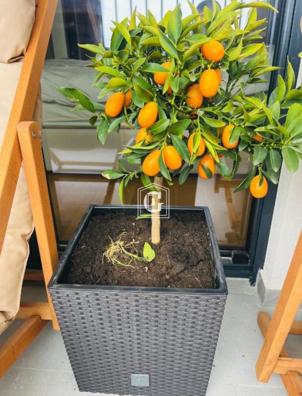 Апартаменты в Бечичи, Черногория, 45 м² - фото 16