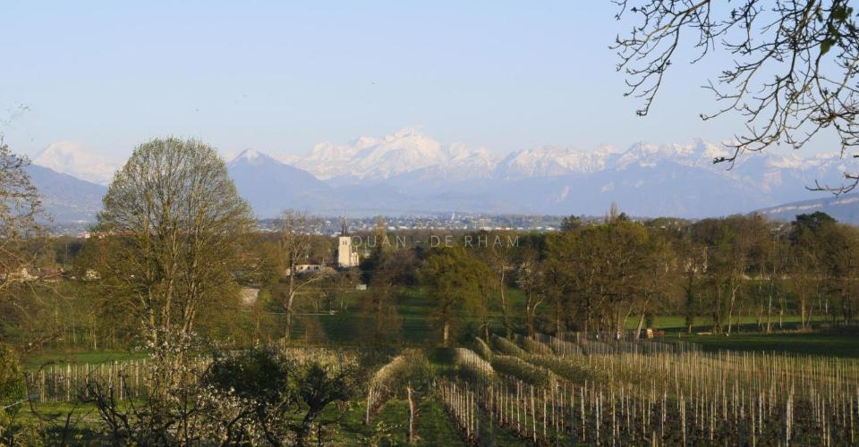 Квартира в Женеве, Швейцария, 327 м² - фото 3