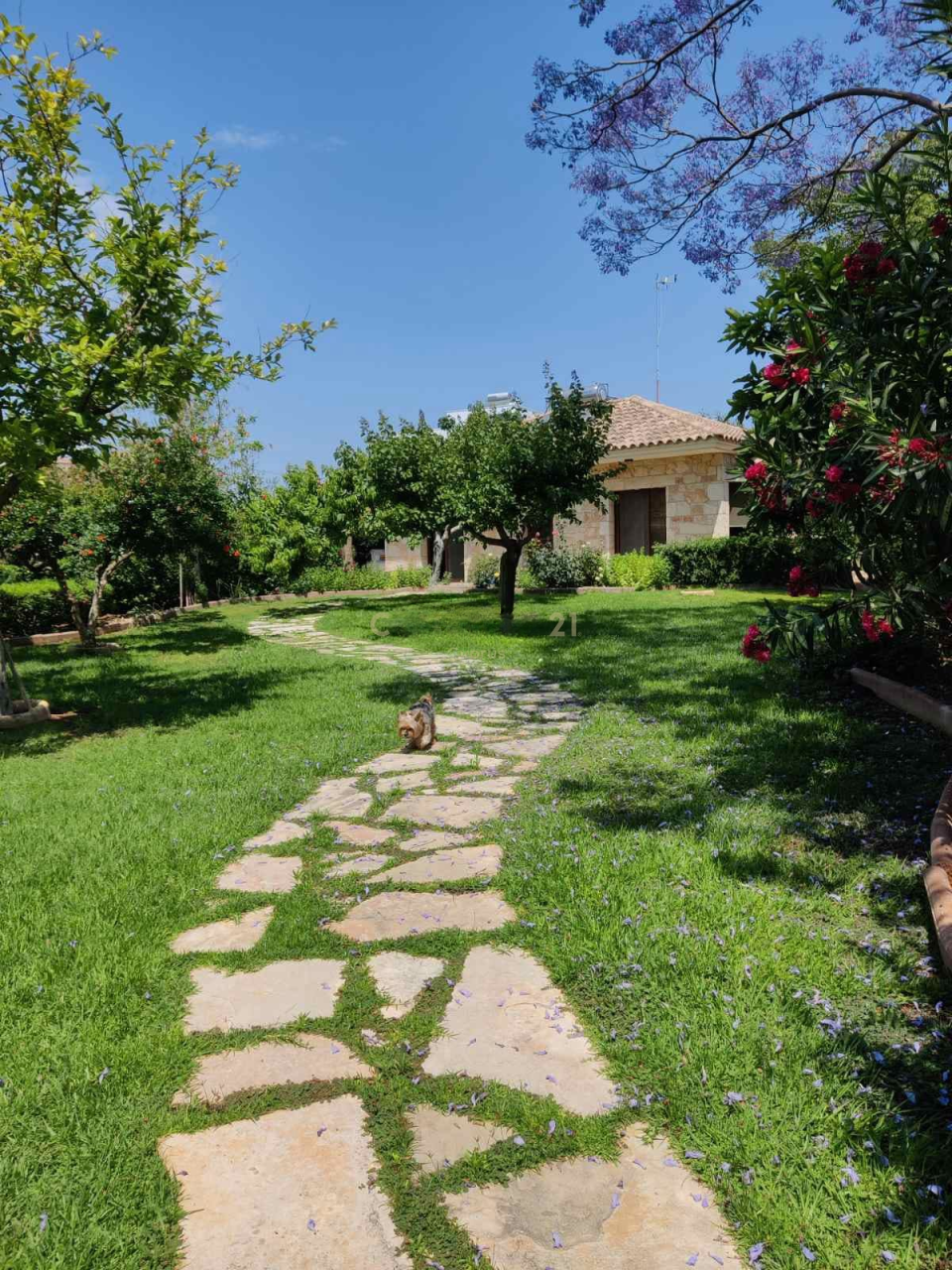 Квартира в Ипсонасе, Кипр, 750 м² - фото 5