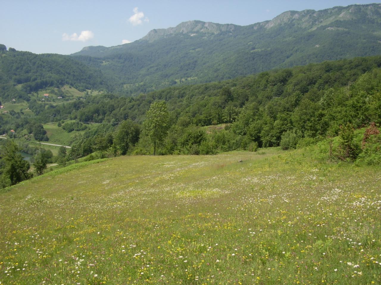 Дом в Колашине, Черногория, 120 м² - фото 14