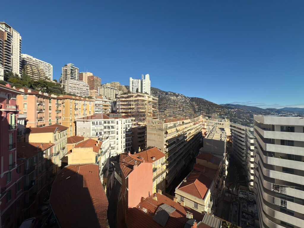 Квартира в Ла-Кондамине, Монако, 45 м² - фото 2
