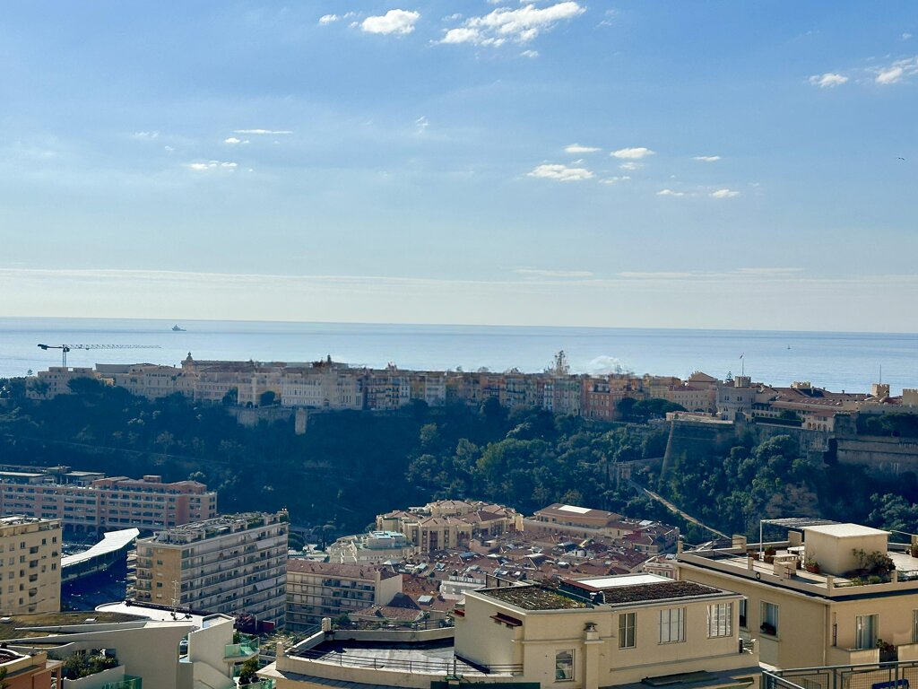 Квартира в Монегетти, Монако, 166 м² - фото 2