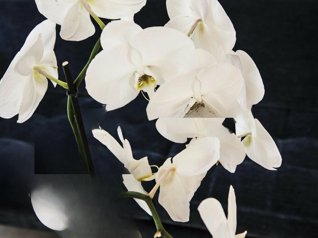 Квартира в Монако, Монако, 50 м² - фото 6