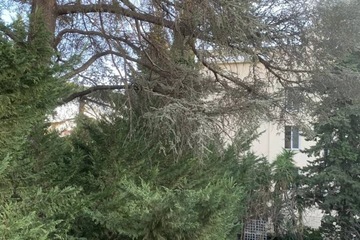 Квартира в Каннах, Франция, 34 м² - фото 3