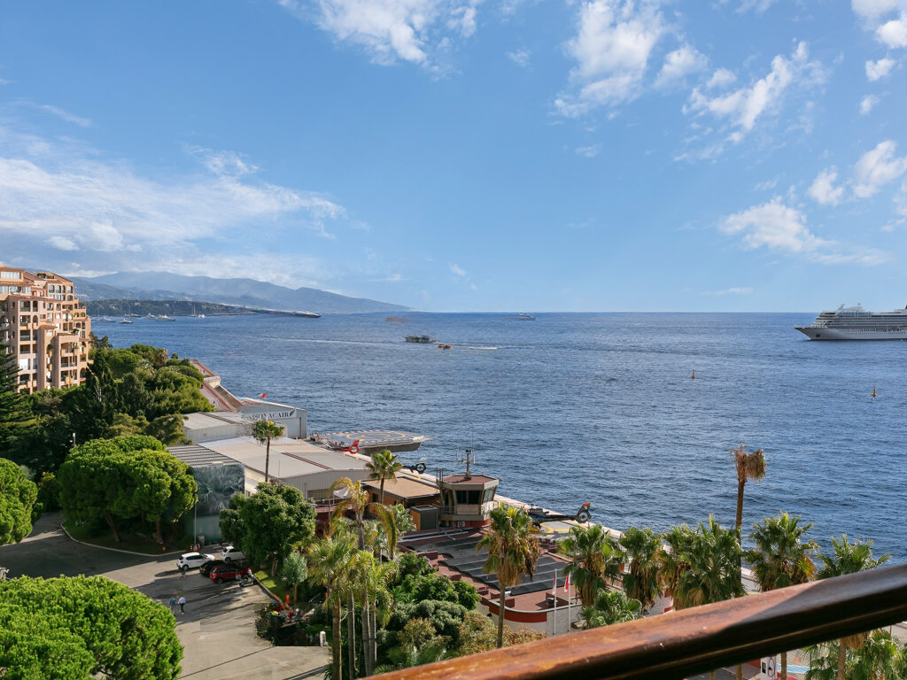 Квартира в Фонвьее, Монако, 208 м² - фото 10