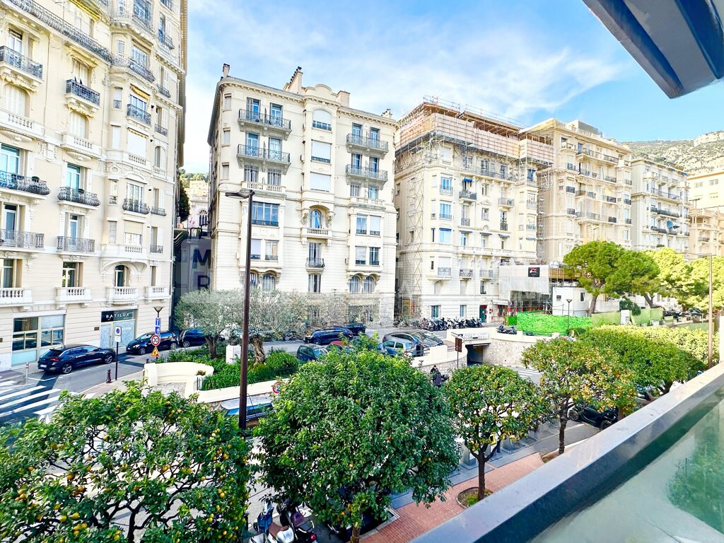 Квартира в Монте Карло, Монако, 256 м² - фото 13