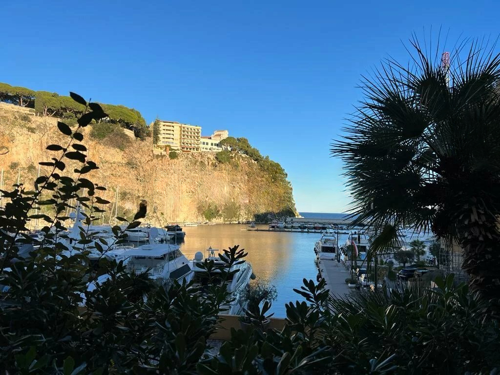 Квартира в Фонвьее, Монако, 200 м² - фото 16