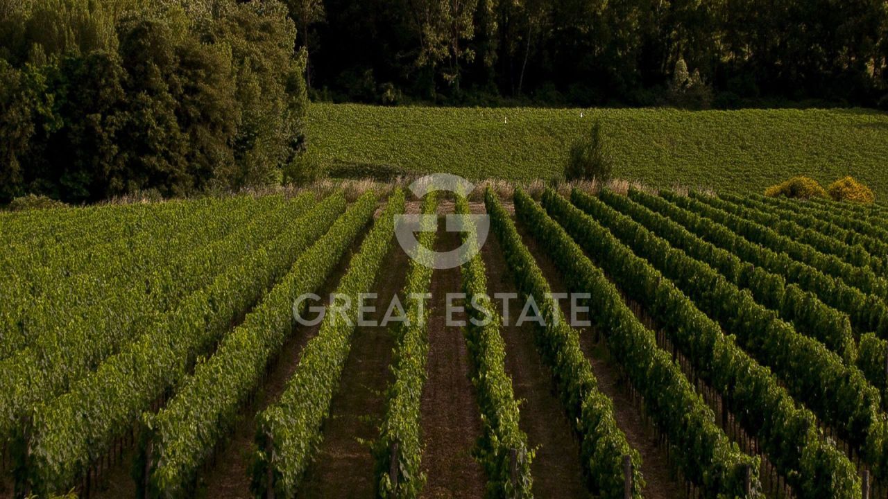 Дом в Трекуанде, Италия, 845 м² - фото 8