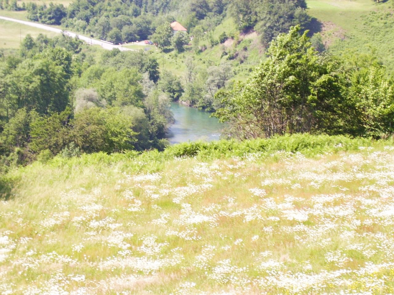 Земля в Колашине, Черногория, 9 814 м² - фото 5