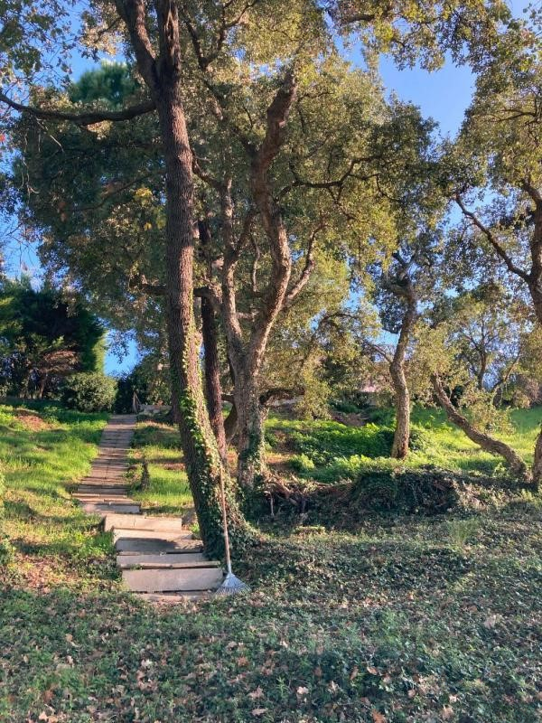 Квартира в Каннах, Франция, 231 м² - фото 3