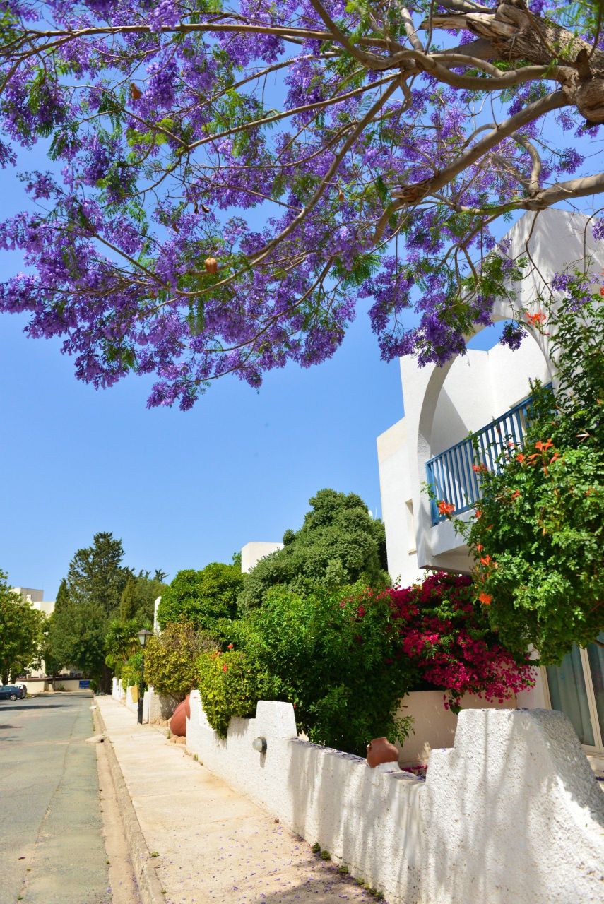 Апартаменты в Пафосе, Кипр - фото 2