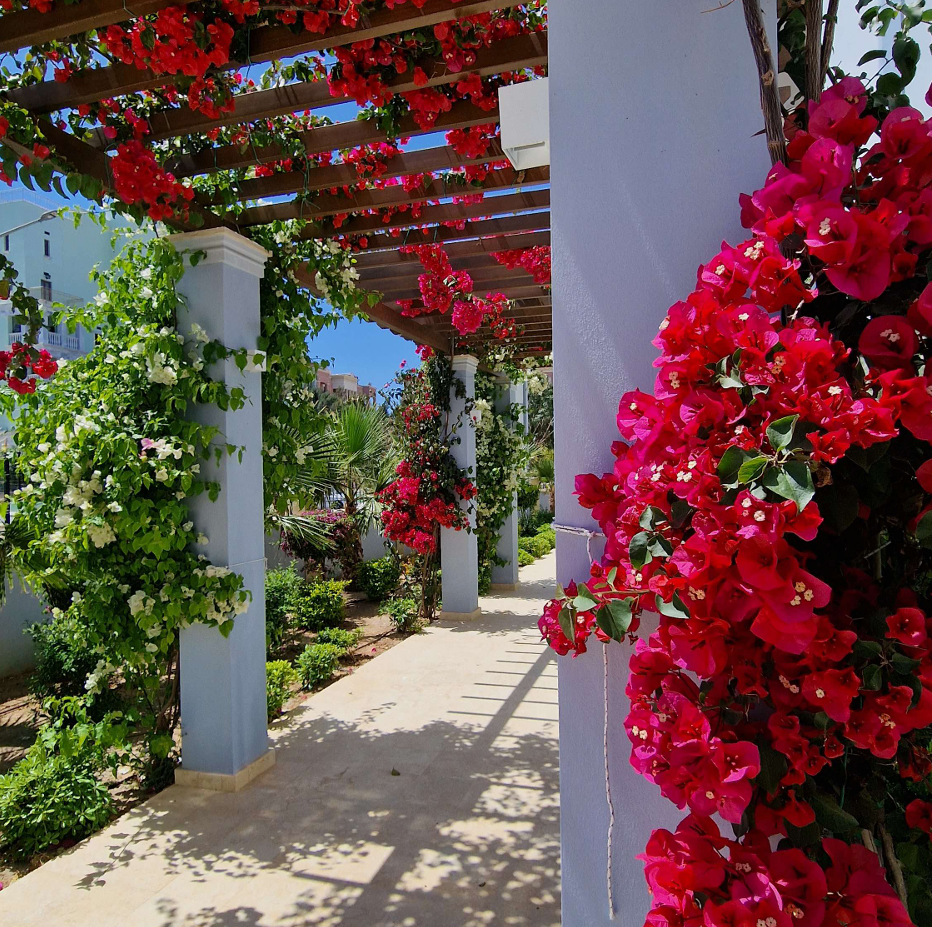 Апартаменты в Лимасоле, Кипр, 133 м² - фото 3