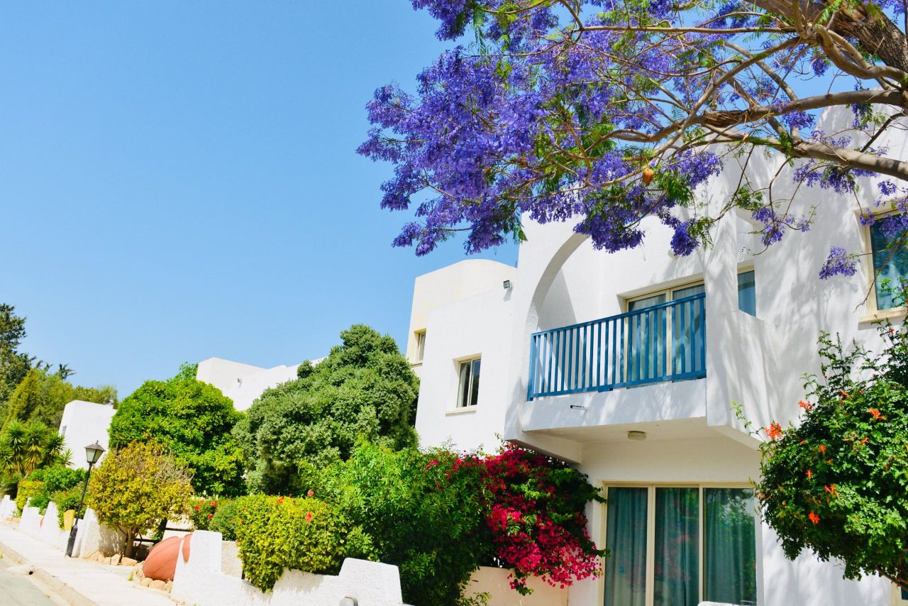 Апартаменты в Пафосе, Кипр - фото 3